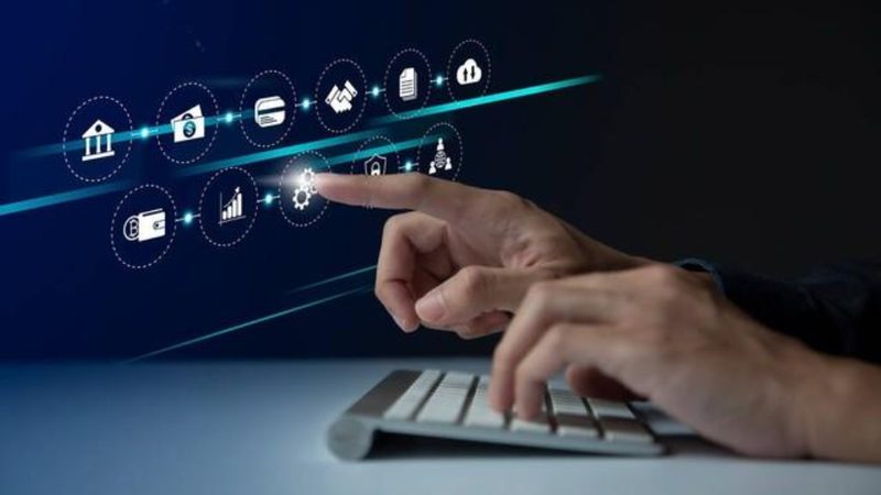 搬家宠物托运全攻略：手续与注意事项